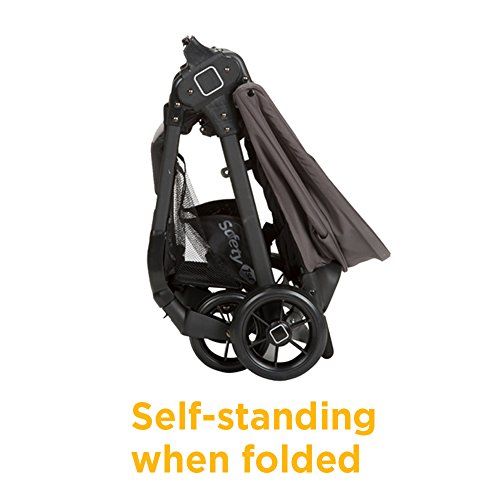  Safety 1st Smooth Ride Travel System with onBoard 35 Infant Car Seat, Wisteria Lane