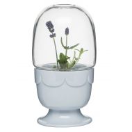 Sagaform 5017187 Planter on Stand with Glass Dome, Lavender Blue