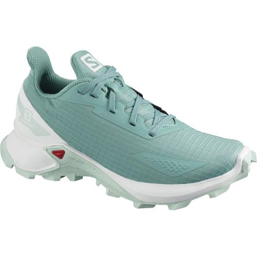 살로몬 Salomon Unisex-Child Alphacross Blast J Trail Running