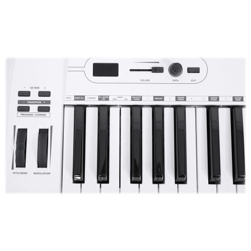  Samson Carbon 61 Key USB MIDI DJ Keyboard Controller+Software+(2) Microphones