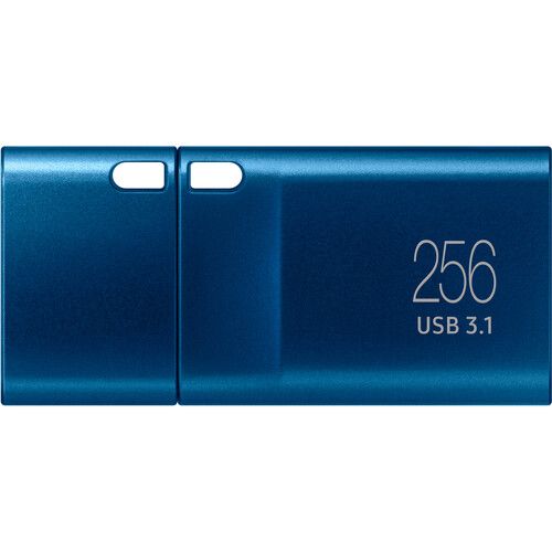 삼성 Samsung 256GB USB 3.1 Type-C Flash Drive (Blue)