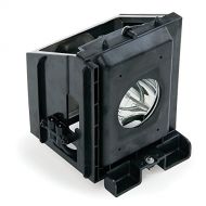 Samsung HL-P6163 TV Assembly Cage with Projector bulb