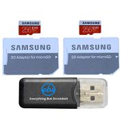 Samsung Evo Plus 256GB MicroSD Memory Card (2 Pack) Works with GoPro Hero 8 Black (Hero8), Max 360 UHS-I, U1, Speed Class 10, SDXC (MB-MC256G) Bundle with 1 Everything But Strombol