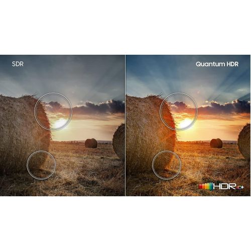 삼성 Samsung QN65QN90AA 65 Neo QLED QN90AA Series 4K Smart TV with an Additional 1 Year Coverage by Epic Protect (2021)