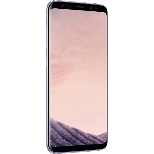 삼성 Samsung Galaxy S8 64GB Unlocked Phone - US Version (Orchid Gray)