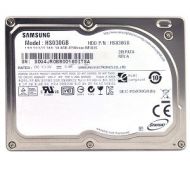 Samsung Electronics Samsung SpinPoint N3A HS030GB 30GB 1.8 PATA ZIF Hard Drive for Mac/iPod/Zune