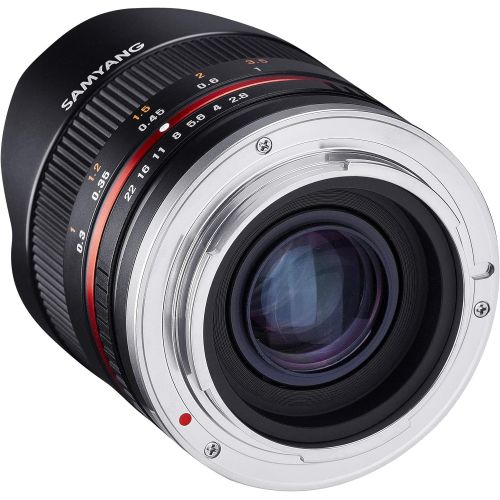  Samyang 8mm F2.8 UMC Fisheye II (Black) Lens for Sony E-Mount (NEX) Cameras (SY8MBK28-E)