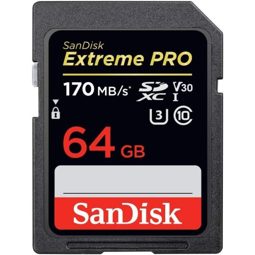 샌디스크 SanDisk 64GB SDXC Extreme Pro Memory Card Bundle Works with Fujifilm X-A5, X-E3, X-Pro2 Mirrorless Camera 4K V30 (SDSDXXY-064G-GN4IN) Plus (1) Everything But Stromboli (TM) Combo C