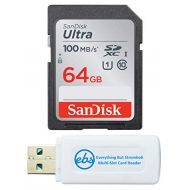 SanDisk Ultra 64GB SD Memory Card for Fujifilm Camera Works with X-T30, X-T3, X-H1, GFX 50R, X-Pro3 Class 10 UHS-I (SDSDUNR-064G-GN6IN) Bundle with 1 Everything But Stromboli Micro