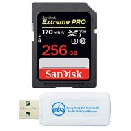 SanDisk 256GB Extreme Pro SD Card SDXC UHS-I Card for Cameras Works with Canon 77D, 80D, 70D, 6D, 60D (SDSDXXY-256G-GN4IN) UHD Video Class 10 Bundle with 1 Everything But Stromboli