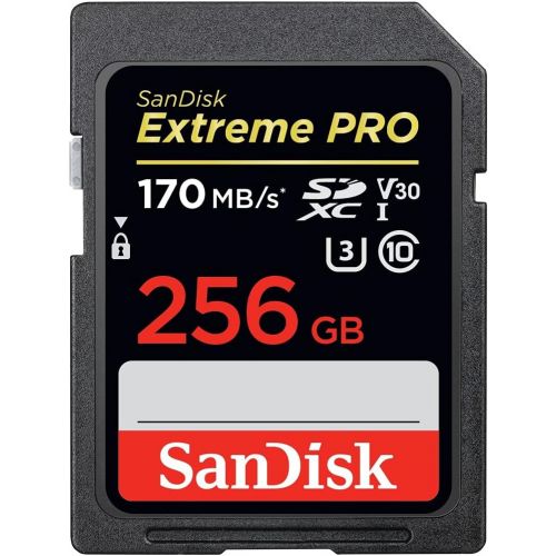 샌디스크 SanDisk 256GB Extreme PRO SDXC UHS-I Card - C10, U3, V30, 4K UHD, SD Card - SDSDXXY-256G-GN4IN