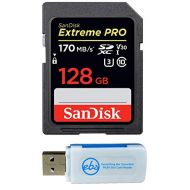 SanDisk Extreme Pro 128GB SD Card for Camera Works with Nikon Z6 II (Z 6II), Z7 II (Z 7II) - SDXC UHS-I Card (SDSDXXY-128G-GN4IN) Bundle with (1) Everything But Stromboli Micro & S