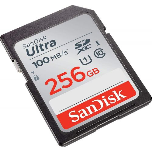 샌디스크 SanDisk 256GB SDXC SD Ultra Memory Card (Two Pack) Works with Canon EOS Rebel T7, Rebel T6, 77D Digital Camera Class 10 (SDSDUNR-256G-GN6IN) Bundle with (1) Everything But Strombol