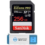 SanDisk Extreme Pro 256GB SD Card SDXC UHS-I for Cameras Works with Nikon D3500, D7500, D5600 (SDSDXXY-256G-GN4IN) 4K UHD Video Class 10 Bundle with (1) Everything But Stromboli 3.
