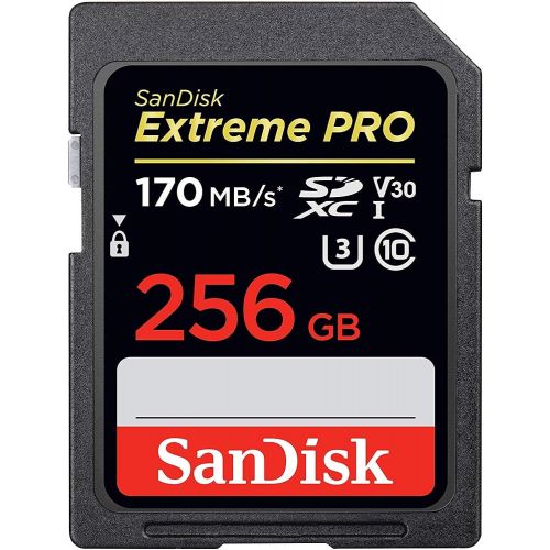 샌디스크 SanDisk Extreme Pro 256GB SD Card SDXC UHS-I for Cameras Works with Nikon D3500, D7500, D5600 (SDSDXXY-256G-GN4IN) 4K UHD Video Class 10 Bundle with (1) Everything But Stromboli 3.