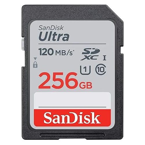 샌디스크 SanDisk SD Ultra Memory Card Works with Panasonic Lumix DC-LX100 II, DMC-FZ1000, DC-FZ1000 II Digital Camera (SDSDUN4-256G-GN6IN) Bundle with (1) Everything But Stromboli Micro Fib