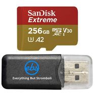 SanDisk Extreme 256GB MicroSD Card for Mavic Mini 2 DJI Drone Flycam - Class 10 4K UHD U3 A2 V30 SDXC (SDSQXA1-256G-GN6MN) Bundle with (1) Everything But Stromboli MicroSDXC Memory