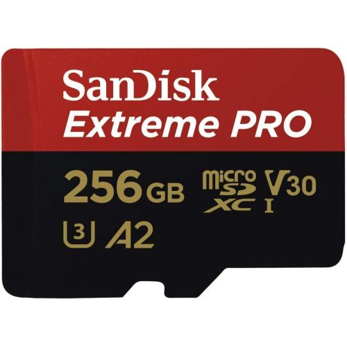 샌디스크 SanDisk 256GB MicroSDXC Extreme Pro Memory Card (2 Pack) Works with GoPro Hero8 Black, Max 360 Action Cam U3 V30 4K A2 Class 10 (SDSQXCZ-256G-GN6MA) Bundle with 1 Everything But St