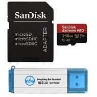 SanDisk 256GB MicroSDXC Memory Card Extreme Pro Works with GoPro Hero8 Black, Max 360 Action Cam U3 V30 4K Class 10 (SDSQXCZ-256G-GN6MA) Bundle with 1 Everything But Stromboli 3.0