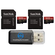SanDisk 256GB Micro SDXC Extreme Pro Memory Card (2 Pack) Works with GoPro Hero 8 Black, Max 360 Cam U3 V30 4K Class 10 (SDSQXCZ-256G-GN6MA) Bundle with (1) Everything But Strombol