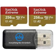 SanDisk 256GB Micro SDXC Extreme Memory Card 2 Pack Works with GoPro Hero 8 Black, GoPro Max 360 Action Cam U3 V30 4K Class 10 (SDSQXA1-256G-GN6MN) Bundle with 1 Everything But Str