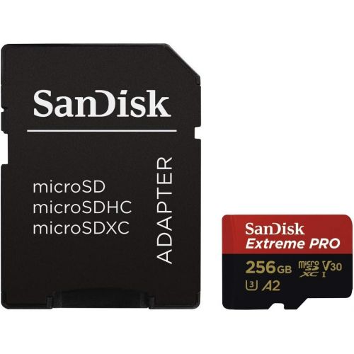 샌디스크 SanDisk Extreme Pro 256GB Micro SD Memory Card for GoPro Hero 9 Black Camera Hero9 UHS-1 U3 / V30 A2 4K Class 10 (SDSQXCY-256G-GN6MA) Bundle with (1) Everything But Stromboli SDXC