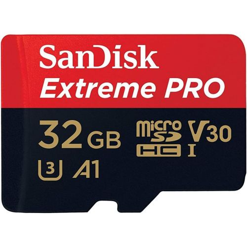 샌디스크 SanDisk Extreme PRO (UHS-1 U3 / V30) A1 32GB MicroSD Memory Card (2 Pack) for GoPro Hero9 Camera (Hero 9 Black) SDSQXCG-032G-GN6MA Bundle with (1) Everything But Stromboli SD & Mic