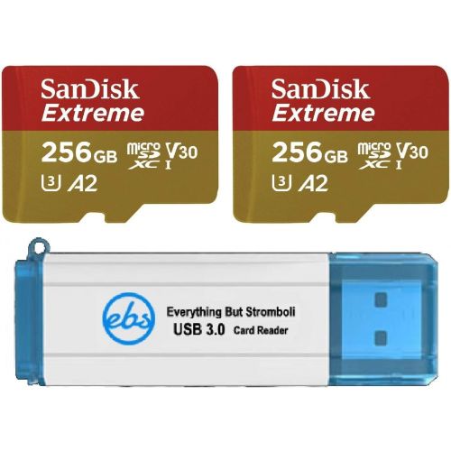 샌디스크 SanDisk 256GB Micro SDXC Extreme Memory Card (2 Pack) Works with GoPro Hero8 Black, GoPro Max 360 Action Cam U3 V30 4K A2 (SDSQXA1-256G-GN6MN) Bundle with 1 Everything But Strombol