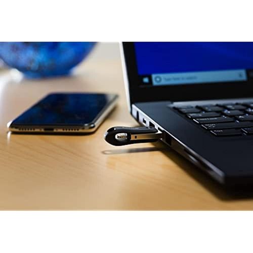 샌디스크 SanDisk 256GB iXpand Flash Drive Go for iPhone and iPad - SDIX60N-256G-GN6NE