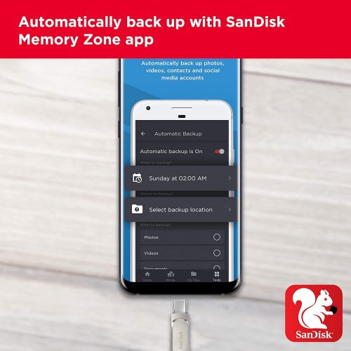 샌디스크 SanDisk 256GB Ultra Dual Drive Luxe USB Type-C - SDDDC4-256G-G46