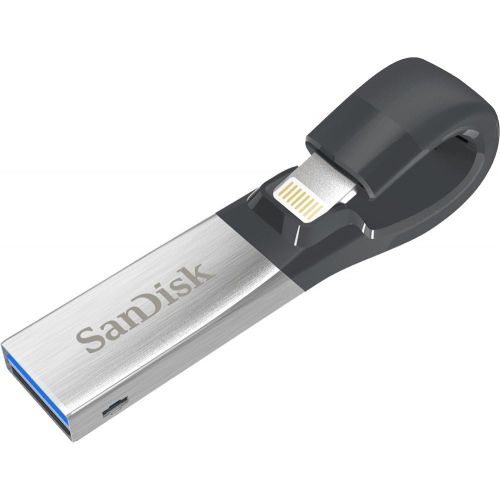 샌디스크 SanDisk iXpand Flash Drive 64GB for iPhone and iPad, BlackSilver, (SDIX30N-064G-GN6NN)
