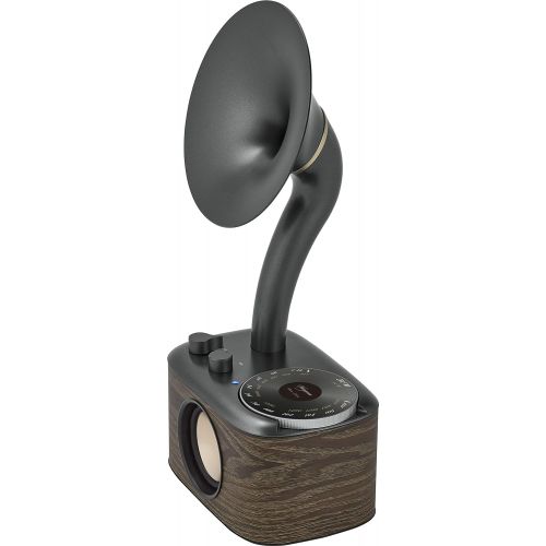  [아마존베스트]Sangean CP-100 AM / FM Retro Gramophone Radio with Bluetooth Speaker and Aux-Input