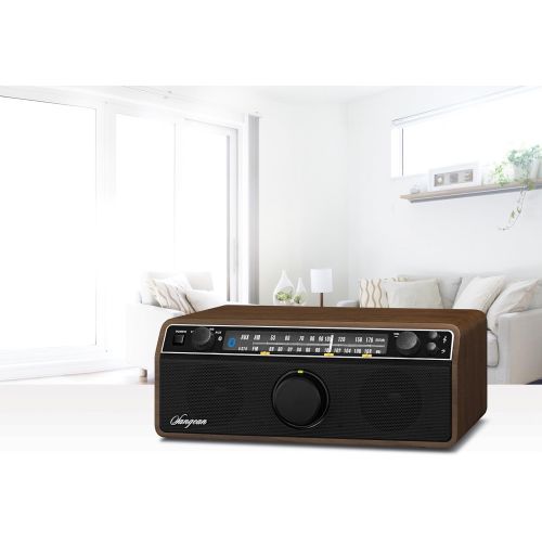  Sangean WR-12 AMFM Analog Wooden Cabinet Receiver (Walnut)