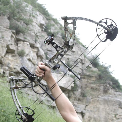  Sanlida Archery Dragon X8 RTH Compound Bow Package for Adults and Teens,18”-31” Draw Length,0-70 Lbs Draw Weight,up to 310 fps,No Bow Press Needed,Limbs Made in USA,Limited Life-ti