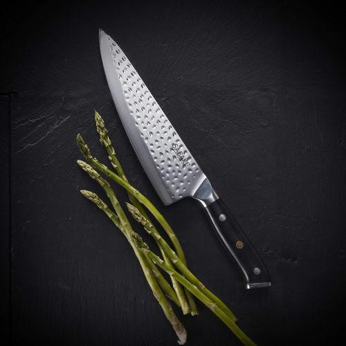  [아마존베스트]Sasaki Takumi Japanese AUS-10 Stainless Steel Chef Knife with Locking Sheath, 8-Inch, Black