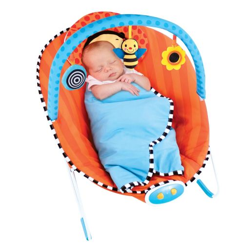  Sassy Cuddle Bug Bouncer, Whimsical Bumble Bee