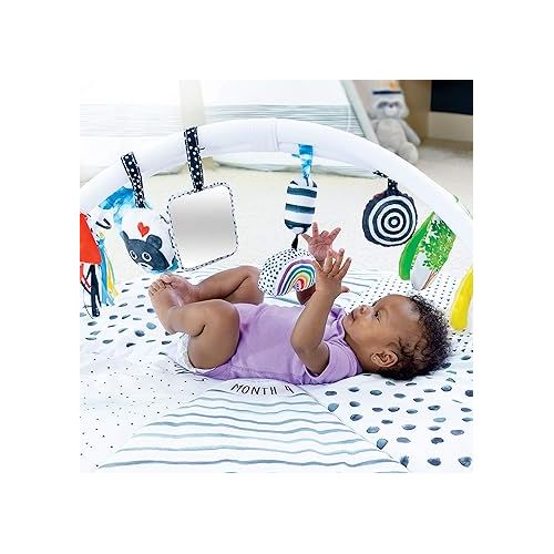  Sassy Stages STEM Developmental Play Gym, Sensory Tummy Time Activity Play Mat w/Built-in Instructions, Ultra Plush & Machine Washable Playmat for Babies & Toddlers