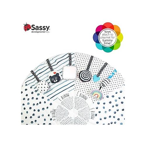  Sassy Stages STEM Developmental Play Gym, Sensory Tummy Time Activity Play Mat w/Built-in Instructions, Ultra Plush & Machine Washable Playmat for Babies & Toddlers