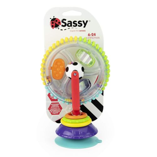  Sassy Wonder Wheel Activity Center