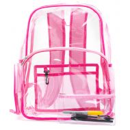 Saucey Chic NEW! Quality Clear Backpack Pink, Heavy Duty Transparent, See-Through, Large (Pink and Fuchsia)