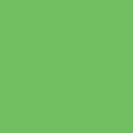 Savage #46 Tech Green Seamless Background Paper (107