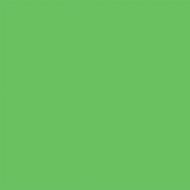 Savage Accent Solid Muslin Background (10 x 24', Chroma Green)
