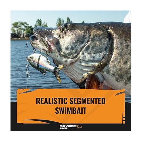  Savage Gear 3D Shine Glide Fishing Bait, 2 1/3 oz, Gizzard, Realistic Contours, Colors & Movement, Durable Construction, Quality Hooks and Rings, Unmatched Swimming Motion