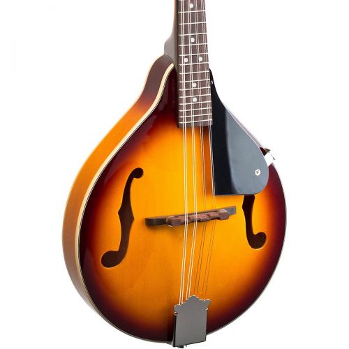  Savannah},description:From one of the industry leaders in quality instruments at affordable prices, Savannah offers the SA090-TSN A-style mandolin, a one of the best, fully-functio