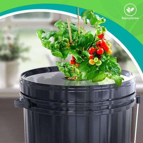  SavvyGrow DWC Hydroponics Growing System-Kit - Large 5 Gallon Bucket w/Air Pump, Airstone - Complete Hydroponic Setup for Indoor Tomatoes, Peppers, Melons, Beans - Grow Super Fast