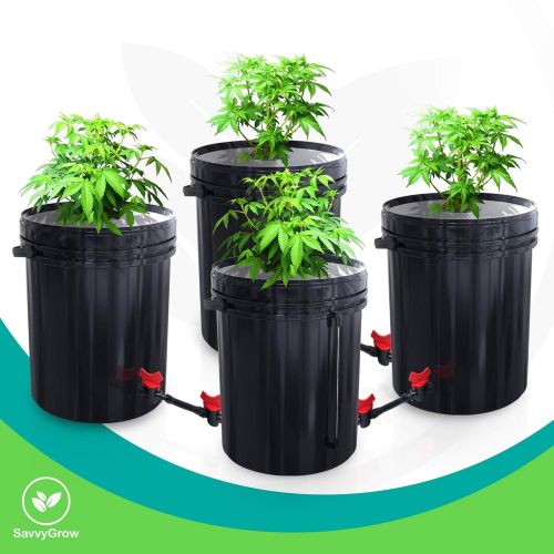  SavvyGrow DWC Hydroponics Growing System-Kit - Large 5 Gallon Bucket w/Air Pump, Airstone - Complete Hydroponic Setup for Indoor Tomatoes, Peppers, Melons, Beans - Grow Super Fast