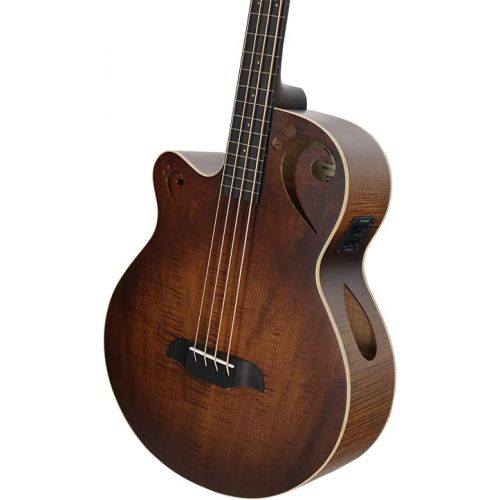  Sawtooth 4 String Left-Handed Rudy Sarzo Signature Acoustic-Electric Guitar with Padded Gig Bag, Satin Violin, Fretless Bass (ST-LH-AFB24EC-FMSV)