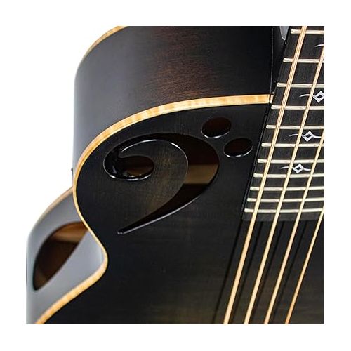  Sawtooth Rudy Sarzo Signature, 4-String Acoustic Electric Guitar, Right-Handed, Transparent Black, Fretted Bass (ST-AB24EC-TBLK)