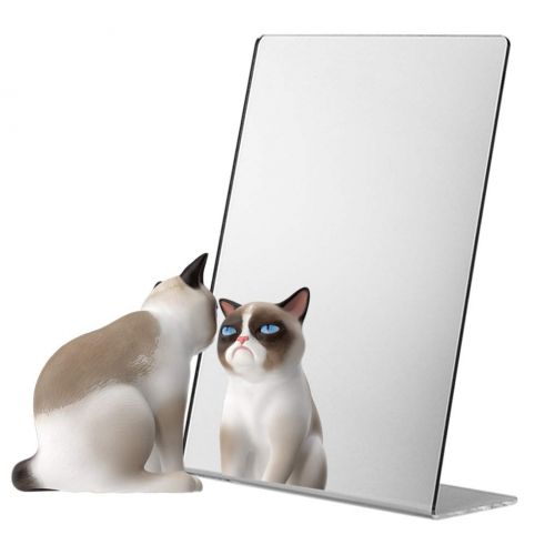  Sax Free-Standing and Single-Sided Self-Portrait Mirror - 8 1/2 x 11 inches