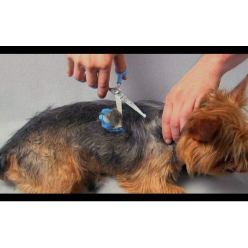  Scaredy Cut Silent Pet Grooming Kit for Cats & Dogs - Quiet Alternative to Electric Clippers for Sensitive Pets